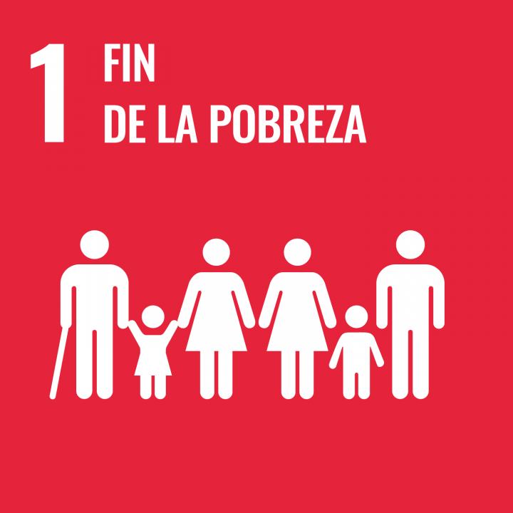 SDG 1 - FIN DE LA POBREZA