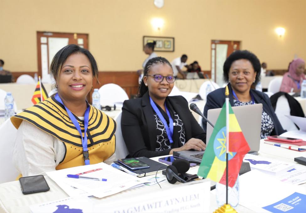 IOM Supports Diaspora Women from East & Horn of Africa Engagement | IOM ...