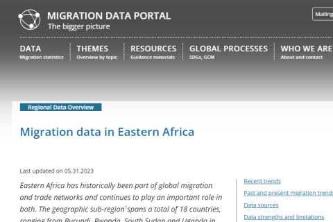 migration data portal (eastern africa)